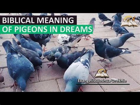 The Eagle and the Pigeons: A Biblical Dream Interpretation